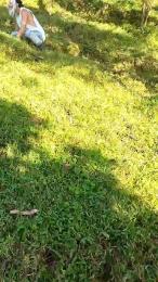 Remote_live webcam cam4 model stream image