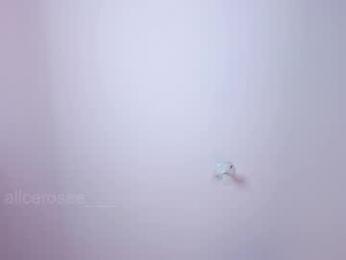 alicerosee___ webcam chaturbate model stream image