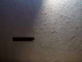 palelaram webcam model stream image