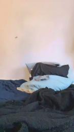 HeadTapper webcam model stream image