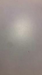 Labuta23 webcam model stream image