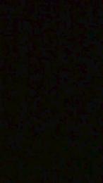 Labuta23 webcam model stream image