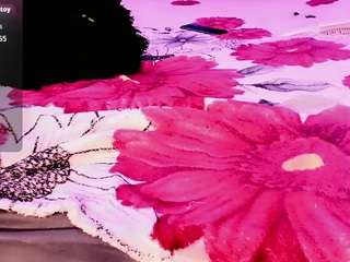 rosedewitt webcam model stream image