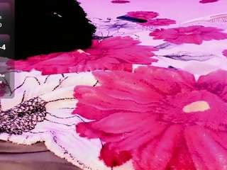 rosedewitt webcam model stream image