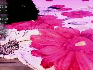 rosedewitt webcam model stream image