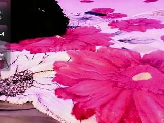 rosedewitt webcam model stream image