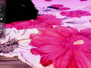 rosedewitt webcam model stream image