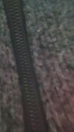 Merioluffy webcam model stream image