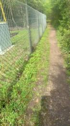 liegeois webcam model stream image