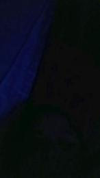 Salomebonia webcam model stream image