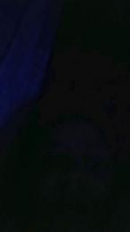 Salomebonia webcam model stream image