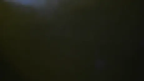Vista previa de bialoba7
