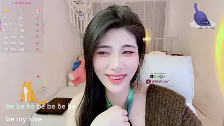 Vaidurya-Yolo webcam model stream image