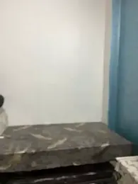 RaghavSinghvs webcam model stream image