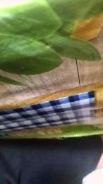 Porcavogliosa81 webcam model stream image