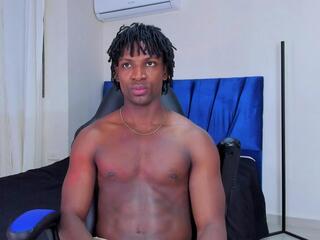 Tau Montes webcam model stream image