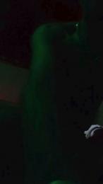 daddybearmadri5 webcam model stream image