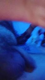 daddybearmadri5 webcam model stream image