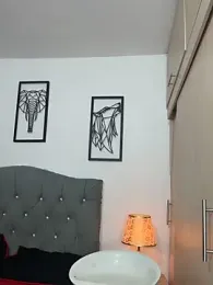 Maximiliano_ford webcam model stream image