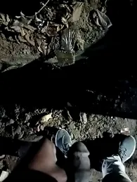 Bengali_BULL1 webcam model stream image