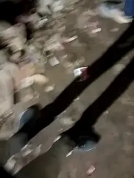 Bengali_BULL1 webcam model stream image