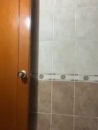 Vista previa de Gym-Latin