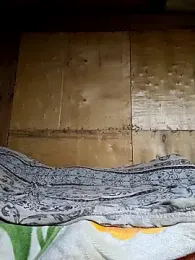 Carlosfkf webcam model stream image