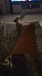 Poyon335 webcam model stream image