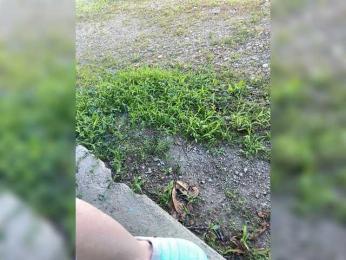 Keti42 webcam model stream image