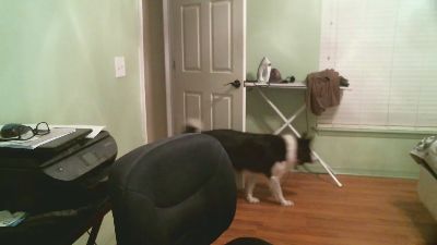 tdevil4 webcam model stream image