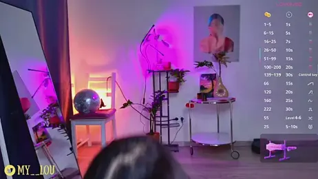 MyLoulaby webcam model stream image