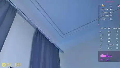 MyLoulaby webcam model stream image
