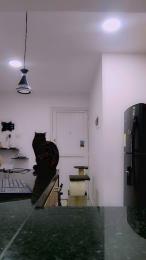 TamariValentine webcam model stream image