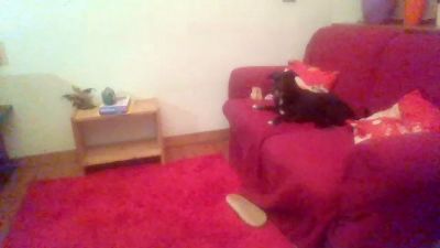 extrascoup webcam model stream image