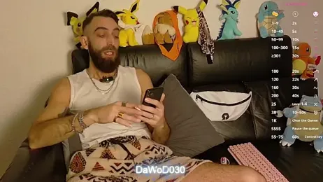 DaWoD030 webcam model stream image