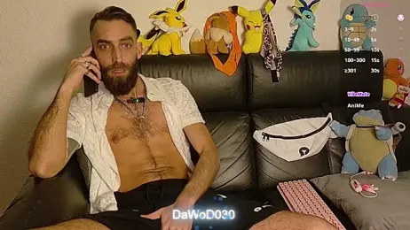 DaWoD030 webcam model stream image