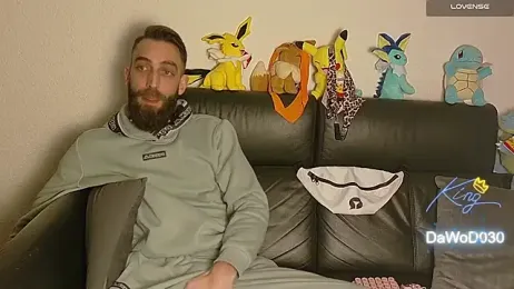 DaWoD030 webcam model stream image