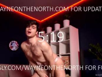 waynenorth webcam chaturbate model stream image