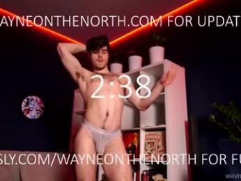 waynenorth webcam chaturbate model stream image