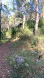 siquesique webcam model stream image