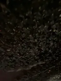 ghazal00 webcam model stream image