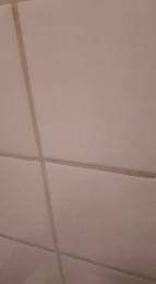 PeeMyCockGirl webcam model stream image