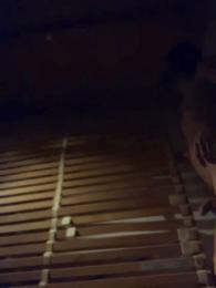 bln2suck webcam model stream image