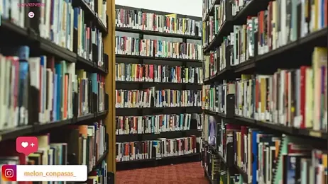 Pinkie_Princes webcam model stream image