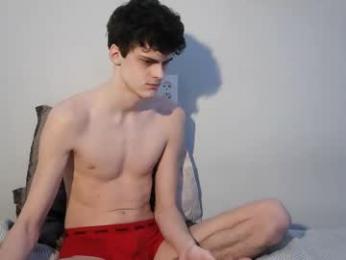 valesios webcam model stream image