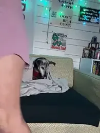 TrenaAnne webcam model stream image