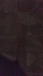 DanyCapo00 webcam model stream image