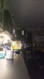 4_Fox_sakes webcam model stream image