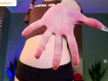 fixielu webcam model stream image