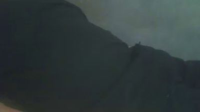 nicco16 webcam model stream image